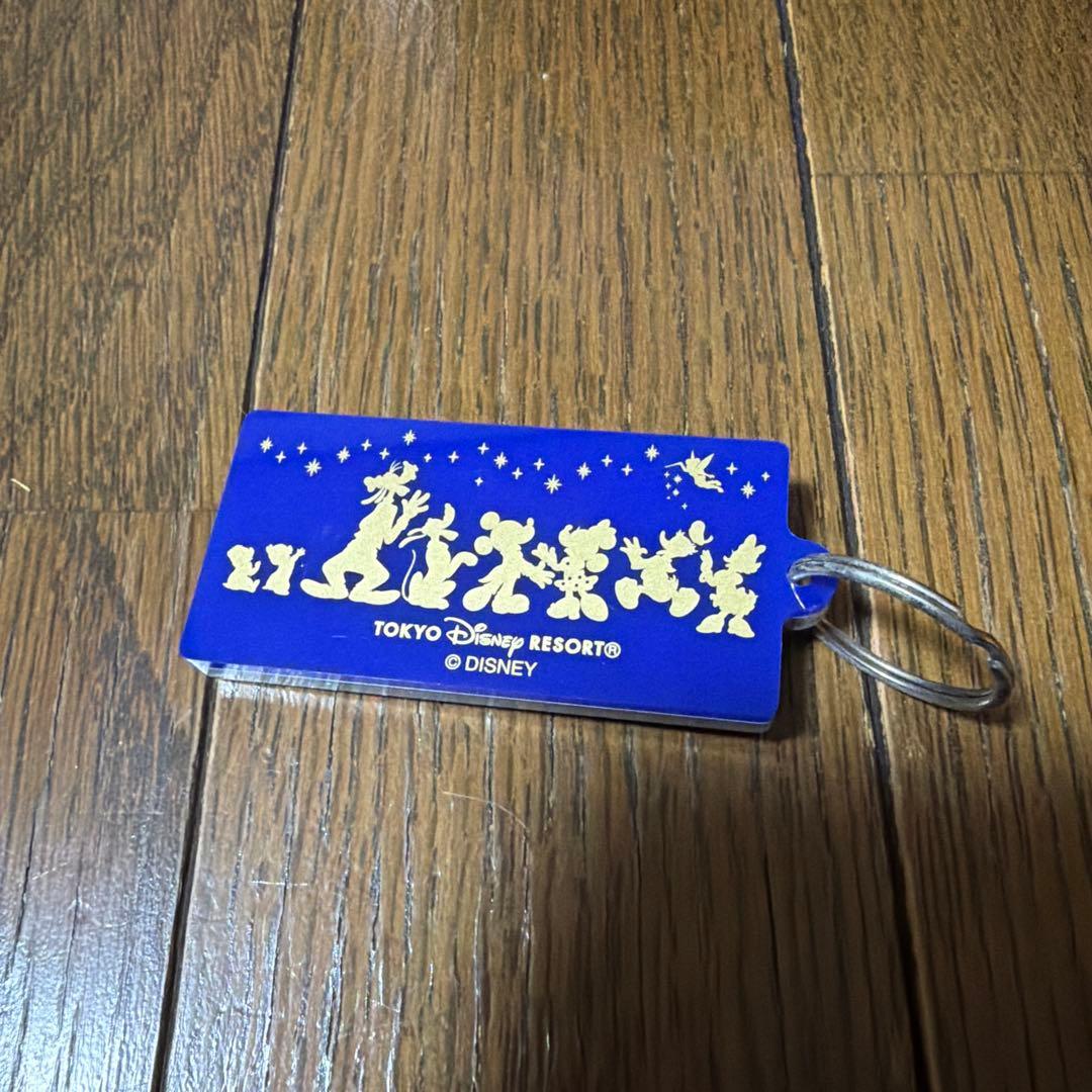 Disney Resort コラボ缶バッジ、CD、キーホルダー、サングラス